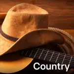 104.6 RTL - Country 