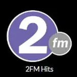 2fm - Hits