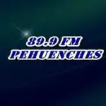 89.9 FM Pehuenches