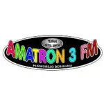 Amatron 3 FM