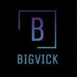 BIGVICK RADIO