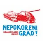 Braniteljski radio