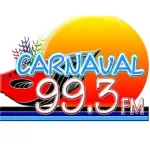 Carnaval 99.3