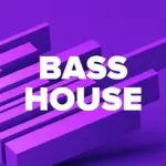 DFM - Bass House