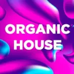 DFM - Organic House