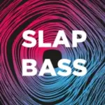 DFM - Slap Bass