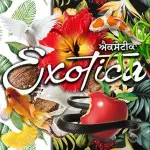 Exotica Radio