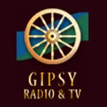 Gypsy Radio - Gypsy Strings