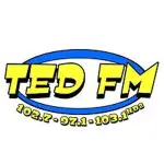 Ted FM - K246AM