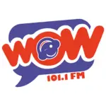 Wow 101.1 - XHDN