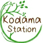 Kodama Station