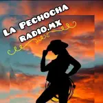 La Pechocha Radio.Mx 