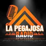 La Pegajosa Radio