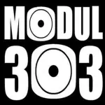 MODUL303