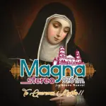 Magna Stereo