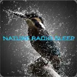 Nature Radio Sleep