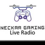 Neckar Gaming