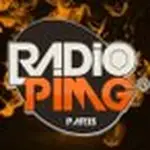 PIMG Radio