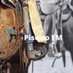 Piserio FM