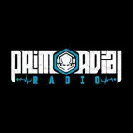 Primordial Radio