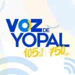 RCN - La Voz de Yopal