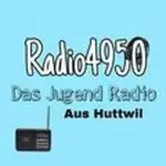 Radio 4950