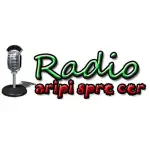 Radio Aripi Spre Cer - Worship