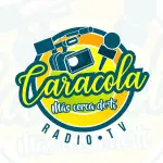 Radio Caracola FM