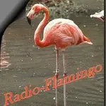 Radio Flamingo