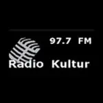 Radio Kultur