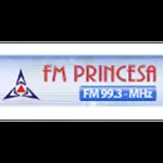 Rádio FM Princesa 99.3