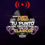 Radio Punto Stereo Chile