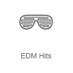 Radio Record - EDM Classics