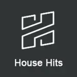 Radio Record - House Hits