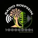 Radio Roepsein