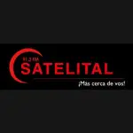 Radio Satelital