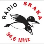 Radio Sraka