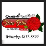 Radio Stereo Dalia