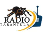 Radio Tarantula Digital 