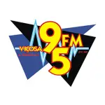 Rádio Viçosa 95 FM