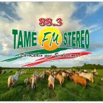 Tame Fm Stereo 88.3