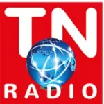 TheNetwork Radio - Lounge & Chill