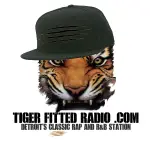 Tiger Fitted Radio 