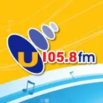 U105