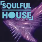 Vip-Radios.fm - Soulful House