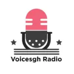 Voicesgh Radio