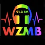 East Carolinas Alternative - WZMB