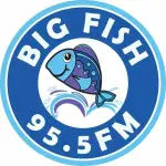  ZFKO Big Fish 95.5 