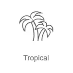 Radio Record - Tropical