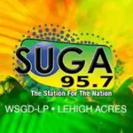 SUGA 95.7 FM Radio Station - WSGD-LP